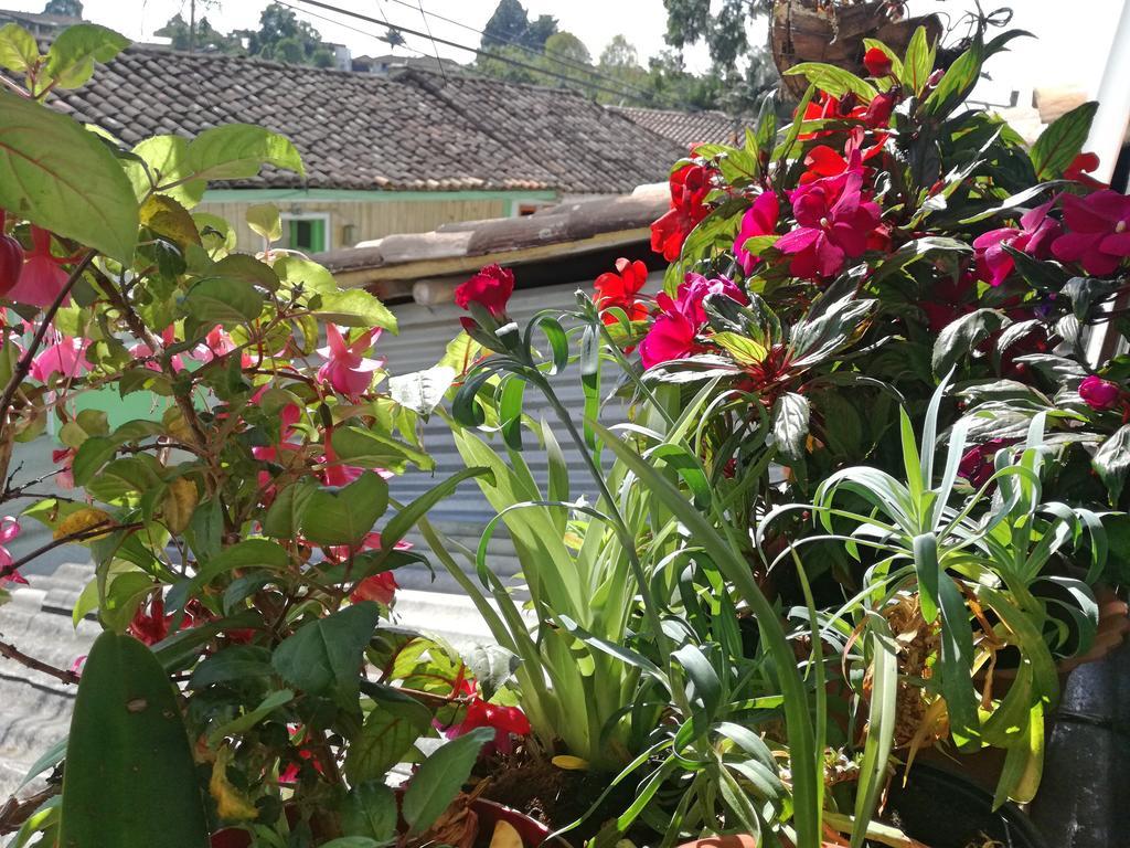 Posada Elenita 萨兰托 外观 照片